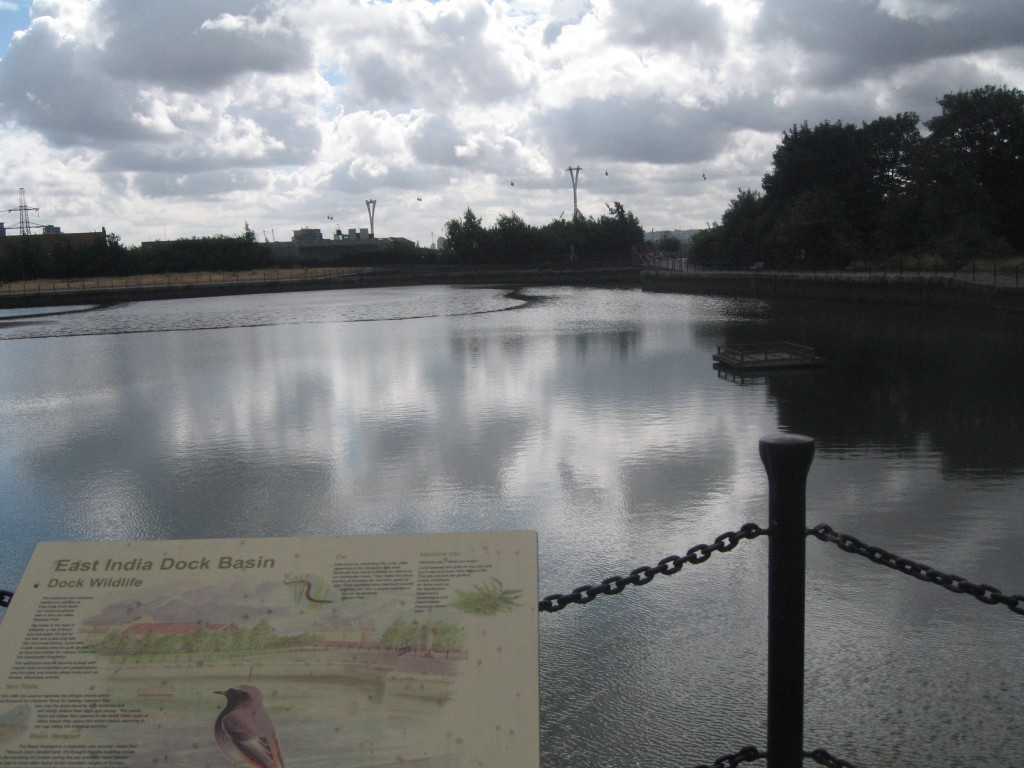 The East India Dock Basin is now a tranquil area teaming with wildlife.